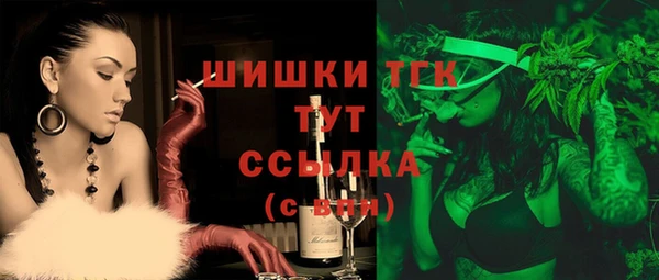 соль ск Бородино