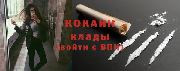 соль ск Бородино