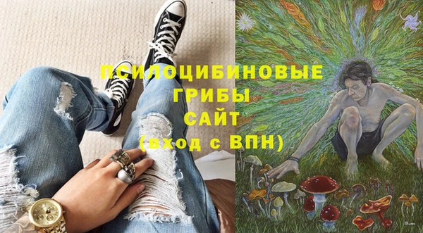 соль ск Бородино