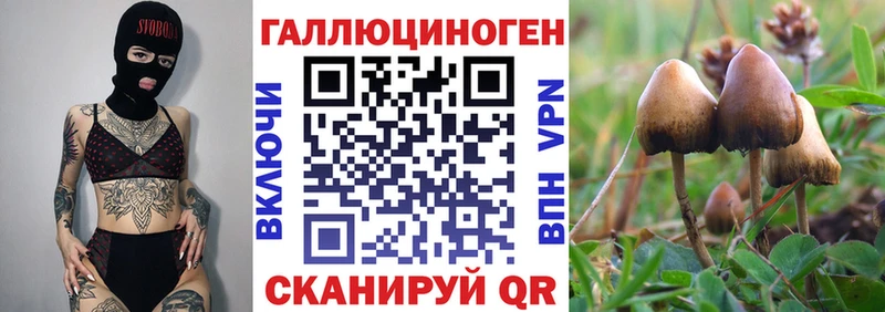 наркота  Дюртюли  Псилоцибиновые грибы Psilocybe 